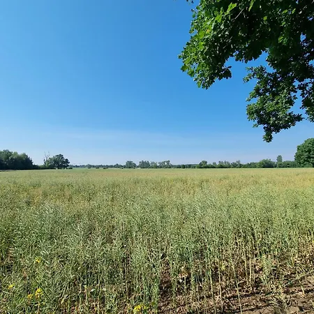 Stroebitzer Wiesen * كوتبوس