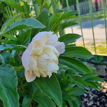 Διαμέρισμα Stroebitzer Wiesen