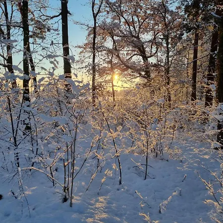 Stroebitzer Wiesen Cottbus