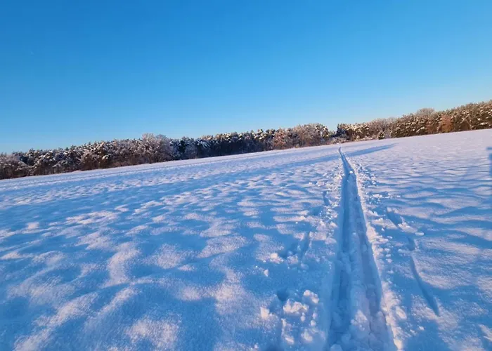 Stroebitzer Wiesen Daire Cottbus