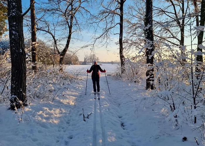 Stroebitzer Wiesen Cottbus