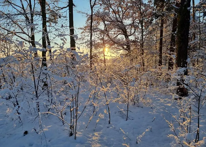 Stroebitzer Wiesen Cottbus